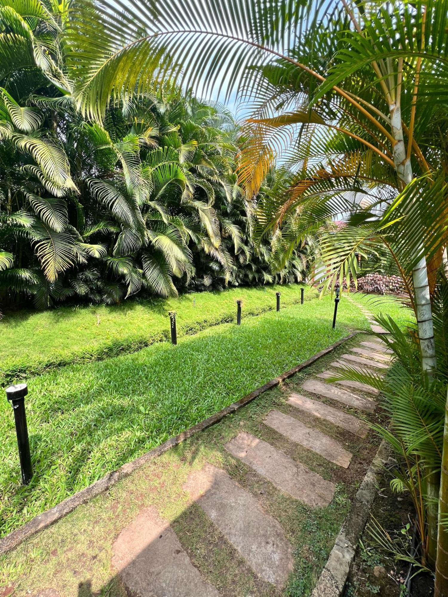 Coorg Nesara Hotel And Resort Kushalnagar Exterior photo